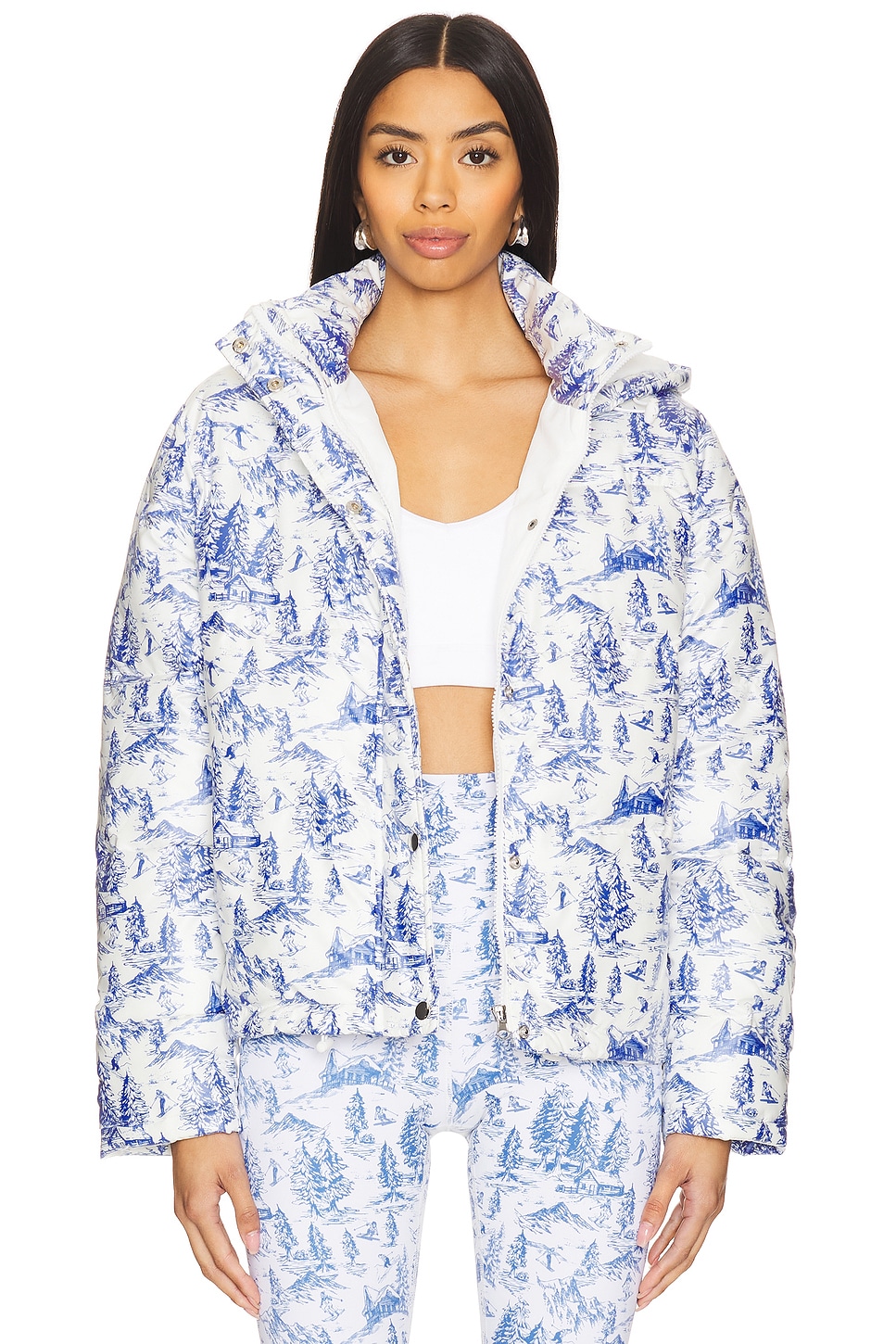 

Пуховик Beach Riot, цвет alps toile
