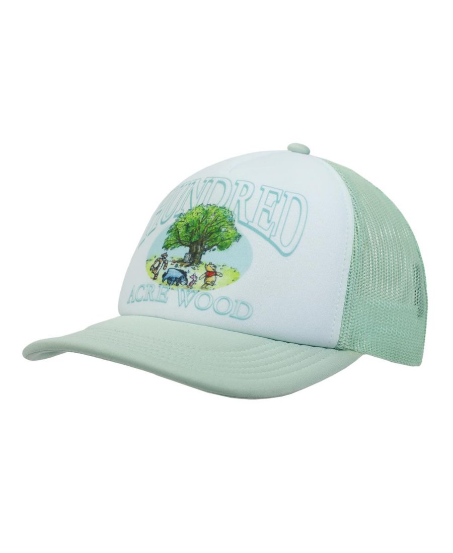 

Мужская бело-голубая кепка-тракер Disney Сто акров леса Winnie the Pooh, Light green & white