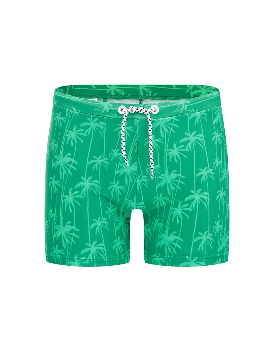 

Шорты WE Fashion Board Shorts, зеленый