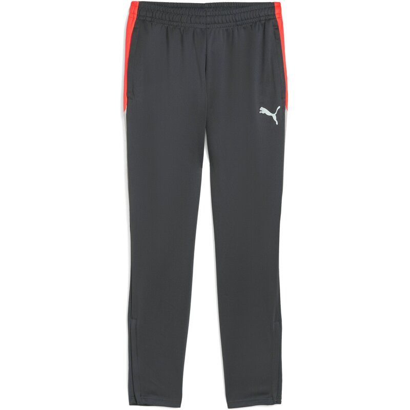 

Спортивные штаны Sporthose Individualliga Puma, белый