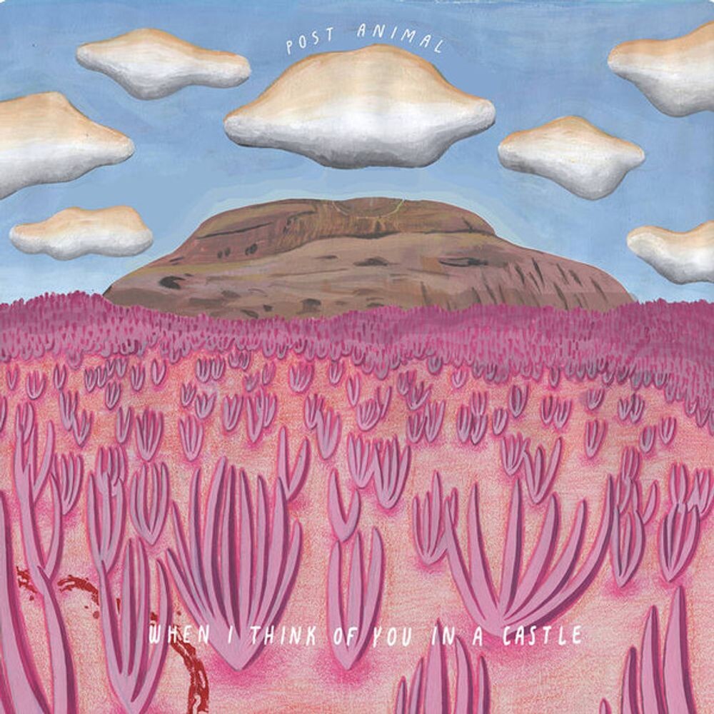 

Виниловая пластинка LP When I Think Of You In A Castle - Post Animal