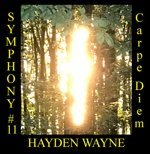 

CD диск Wayne, Hayden: Symphony #11: Carpe Diem