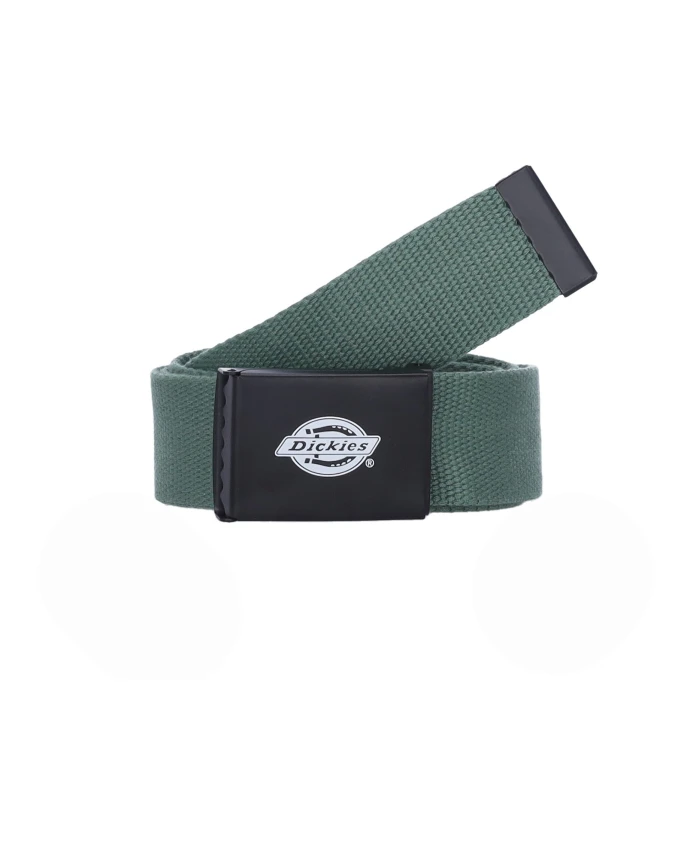 

Ремень из тесьмы Dark Ivy для мужчин Dickies, зеленый
