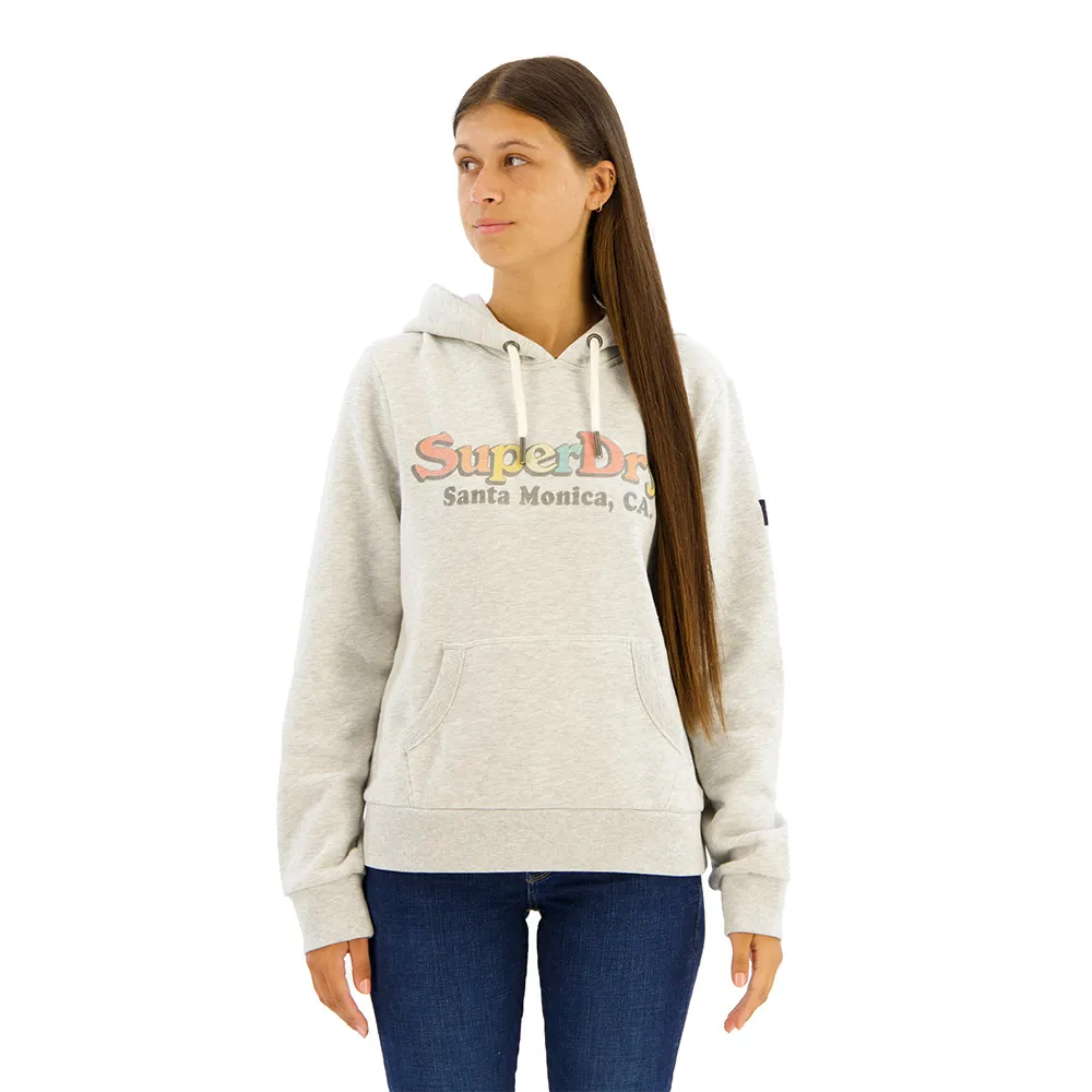 

Худи Superdry Rainbow Logo, серый