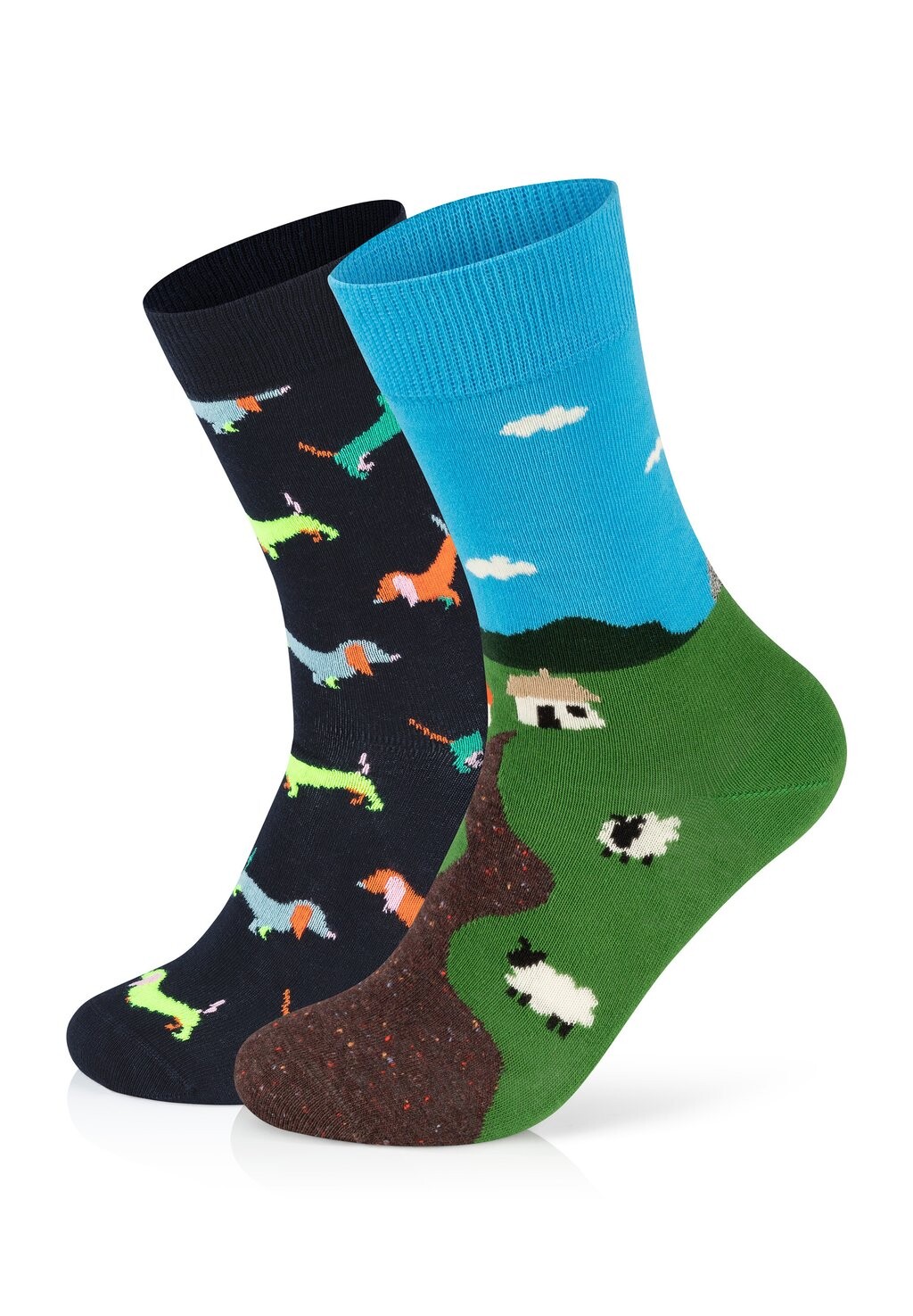 

Носки 2 PACK LITTLE HOUSE ON THE MOORLAND PUPPY LOVE Happy Socks, черный