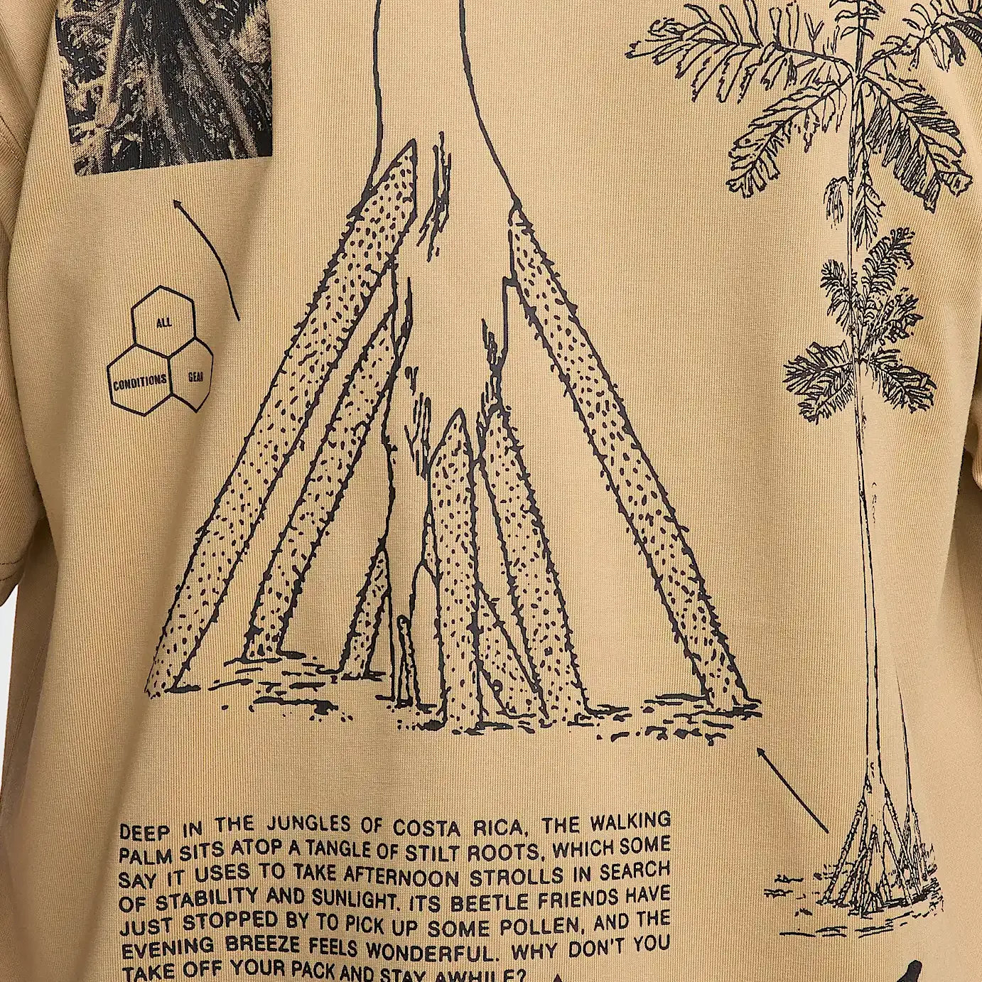 Футболка мужская beige Nike, бежевый — фото 4