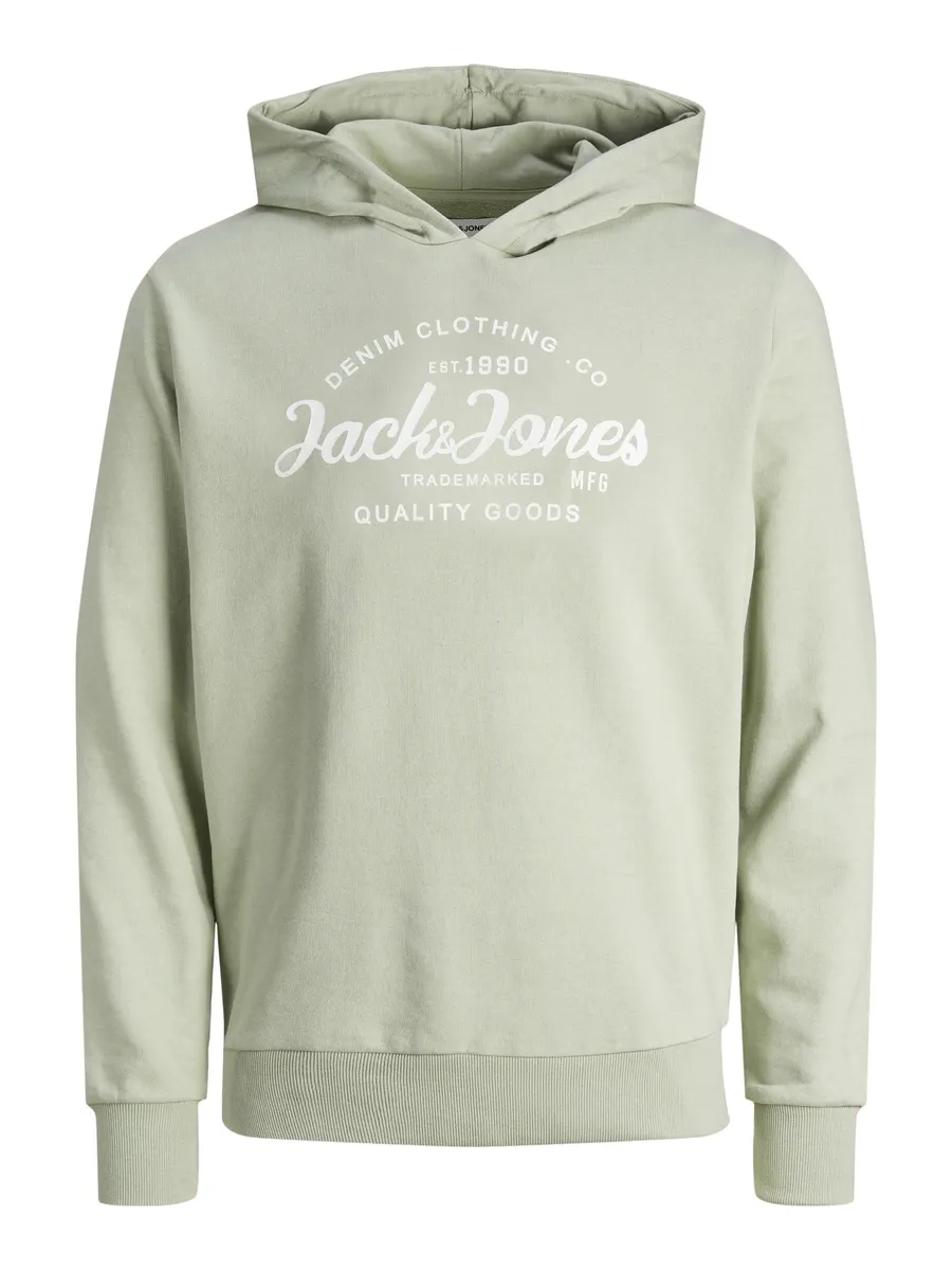 

Детская толстовка Jack & Jones "JJFOREST SWEAT HOOD JNR" Jack & Jones Junior, цвет Desert Sage