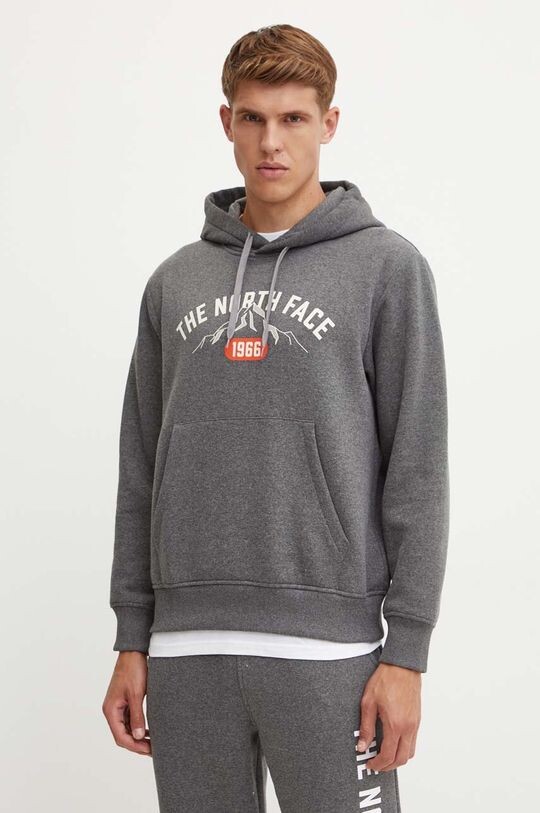 

Толстовка с университетским рисунком The North Face, серый