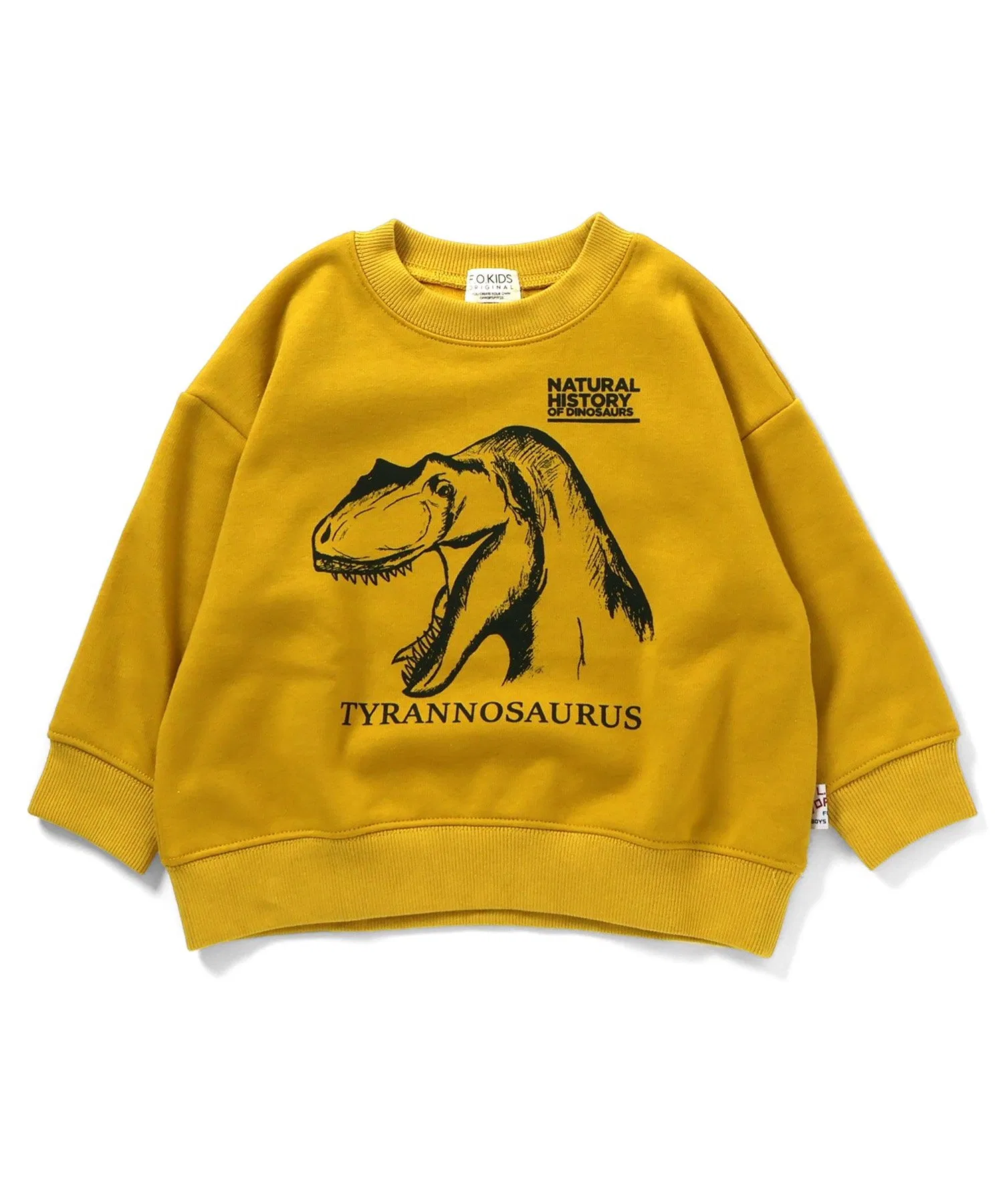 [Теплая/на флисовой подкладке] Толстовка DINO (3 цвета, 3 варианта расцветки)