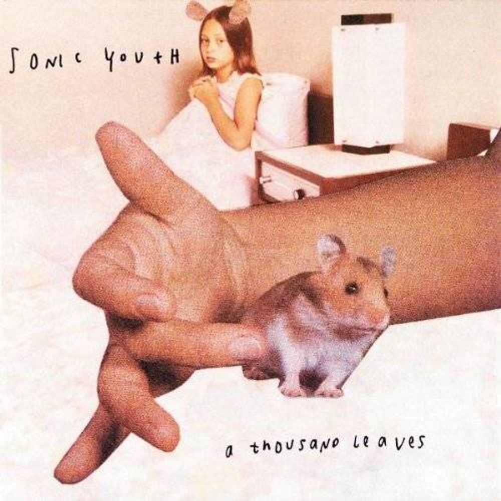 

Диск CD A Thousand Leaves - Sonic Youth