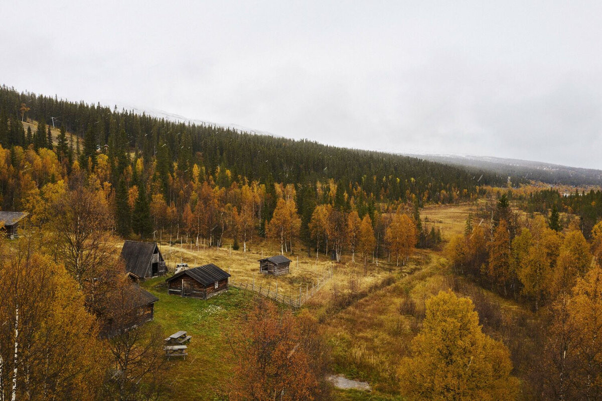 Fjallraven, Косметичка для снаряжения – Хаки Пыль, цвет коричневый — фото 3