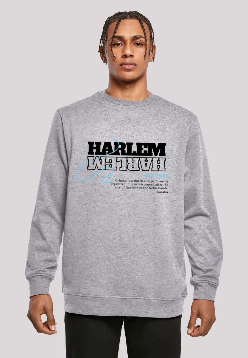 

Толстовка F4NT4STIC "Harlem CREW", принт, серый