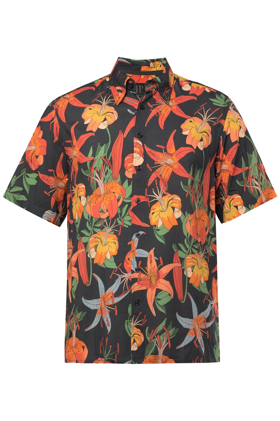 

Рубашка на пуговицах классического кроя JP1880, Mixed colors