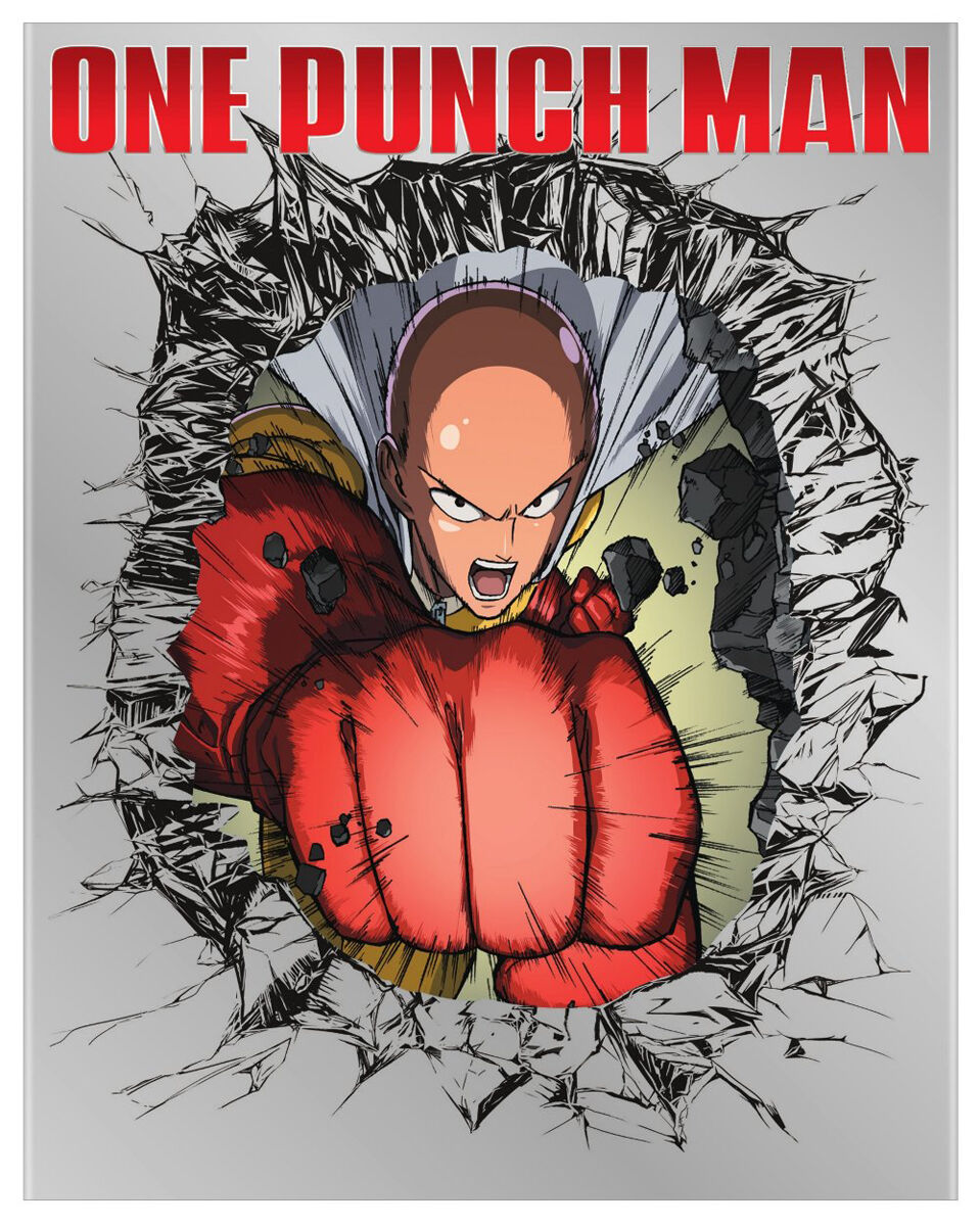 

Blu-Ray диск One-Punch Man Season 1 Limited Edition Blu-ray/DVD