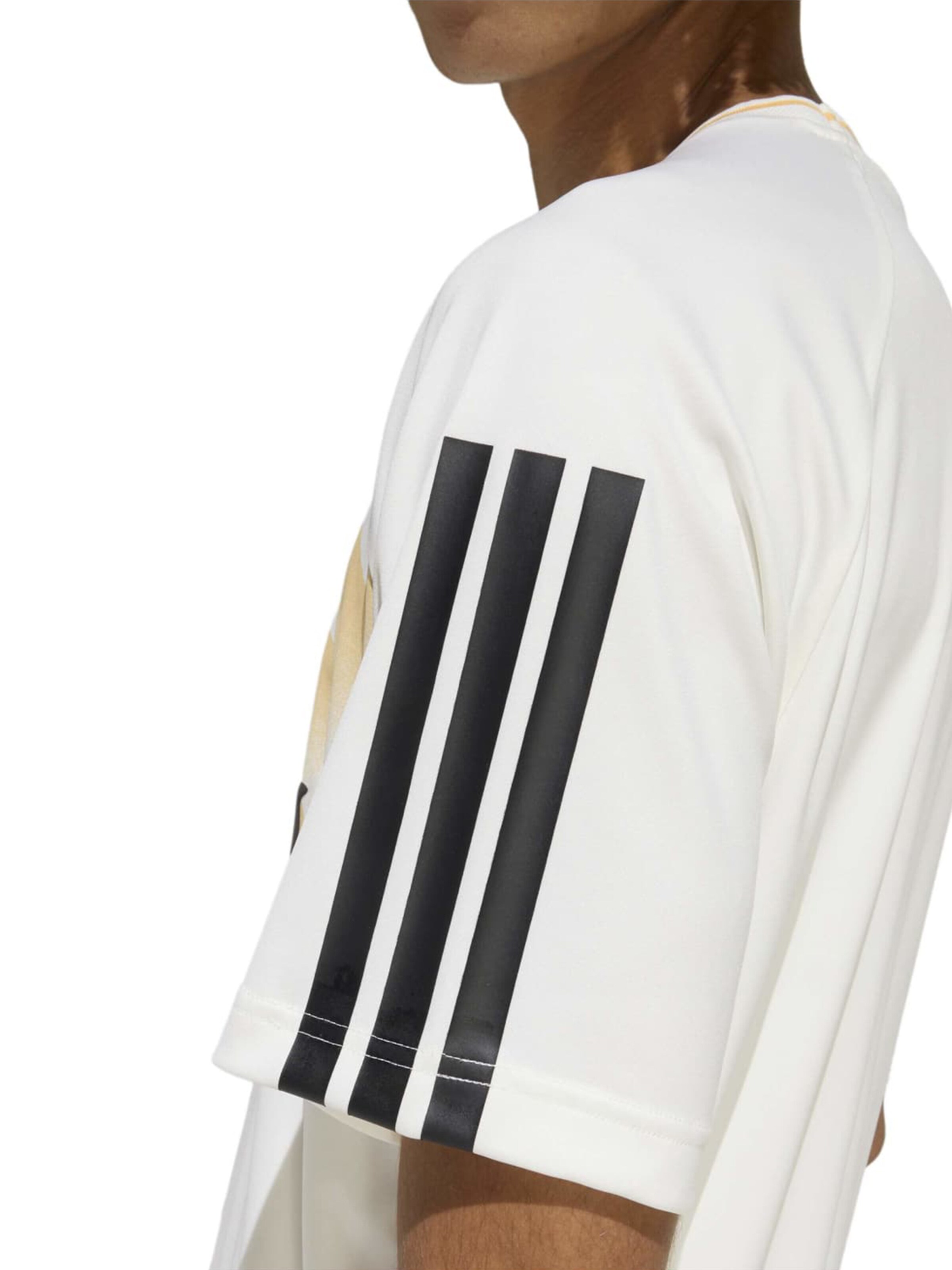 Adidas Sportswear Футболка для тренировок 'HOUSE OF TIRO X COMMON GOAD' в цвете Pueblo — фото 4