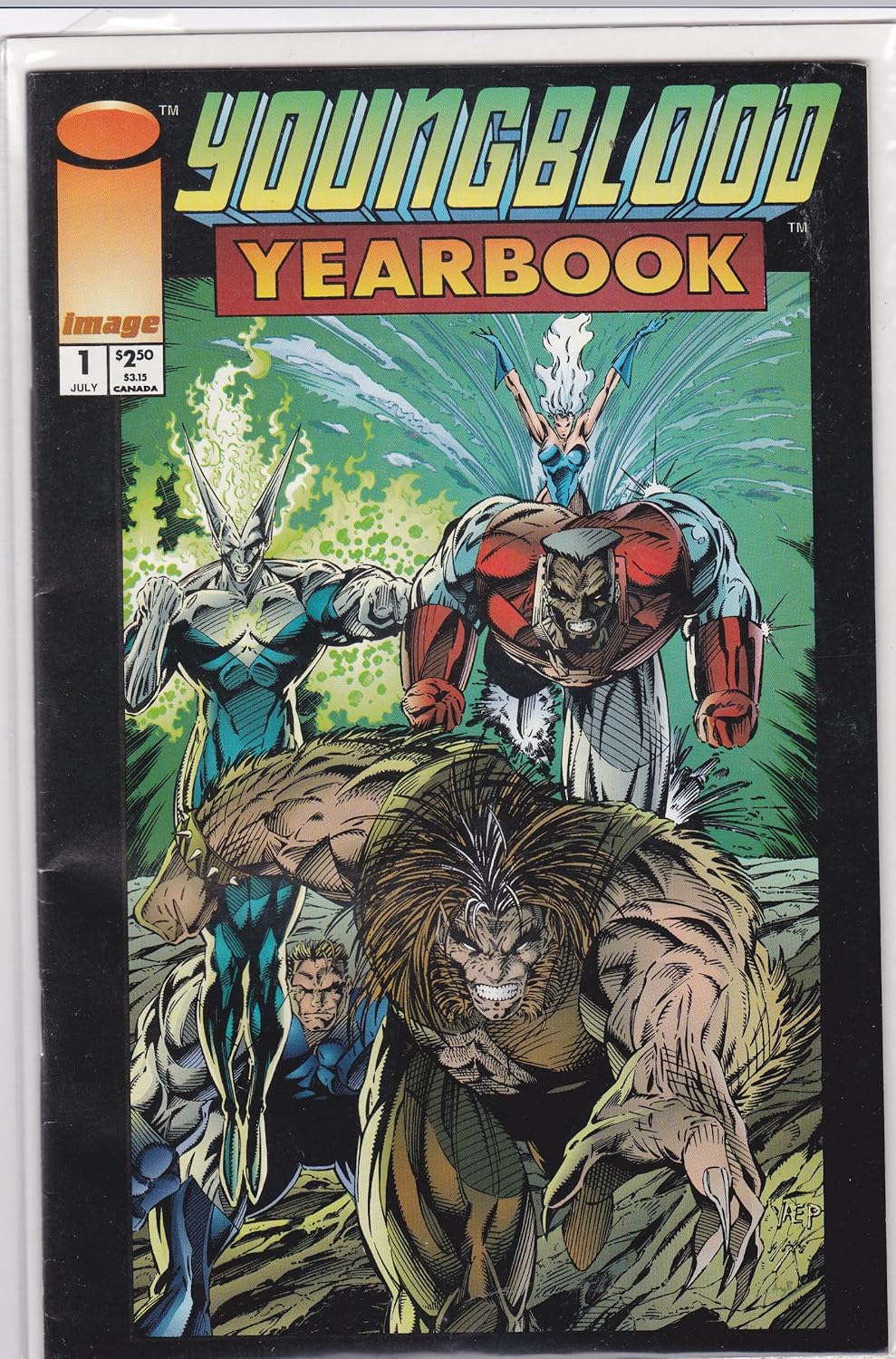 

Youngblood Yearbook #1 (Image)