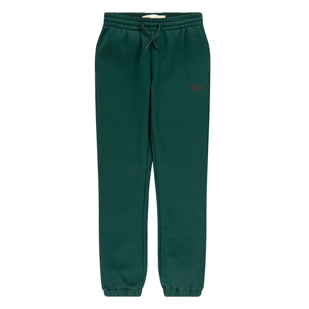 

Спортивные брюки Levi´s Fleece, зеленый