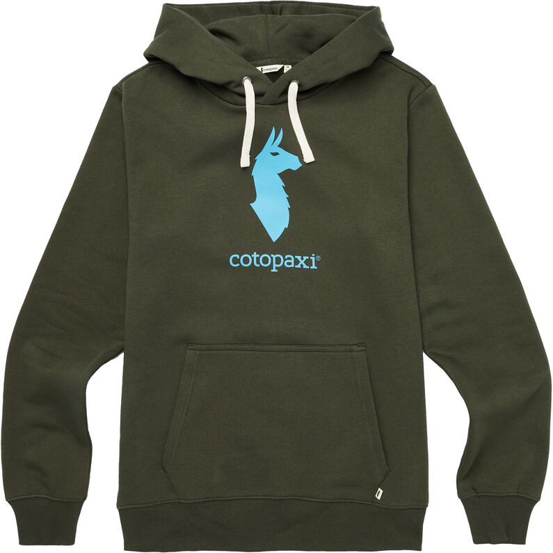 

Мужская толстовка с капюшоном из ламы Cotopaxi, зеленый