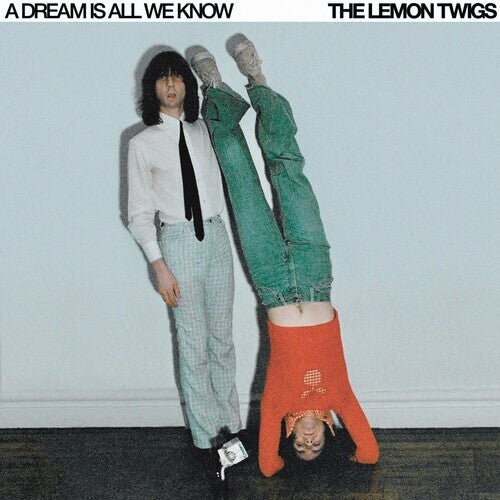 

Виниловая пластинка Lemon Twigs - Dream Is All We Know