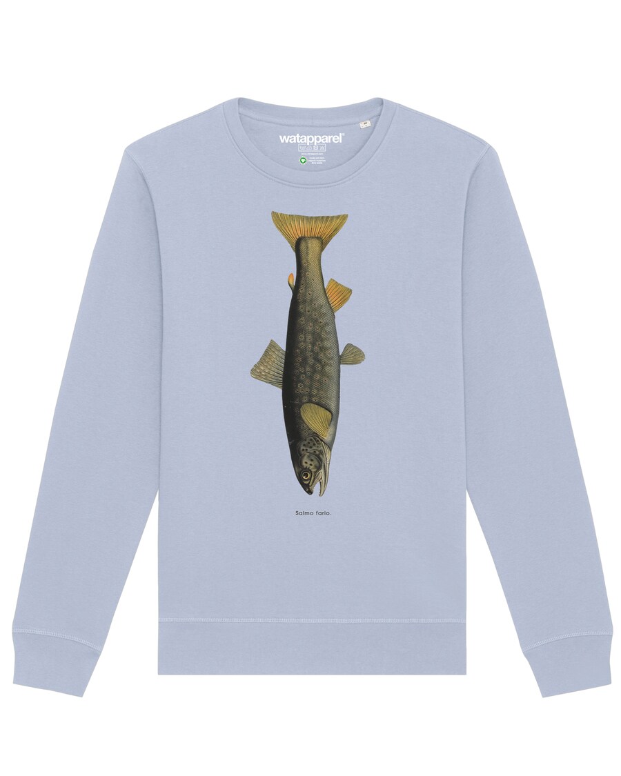 

Толстовка Watapparel Forelle, светло-синий