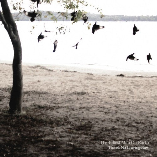 

CD диск Tallest Man on Earth: There's No Leaving Now