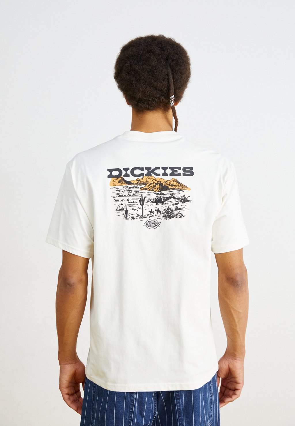 

Футболка с принтом LANDASCAPE TEE Dickies, деним