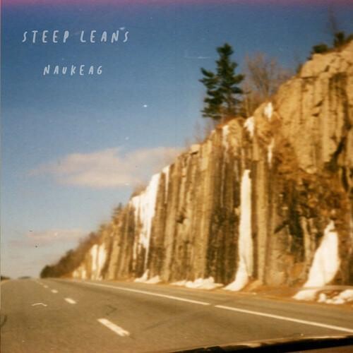 

Виниловая пластинка Steep Leans - Naukeag