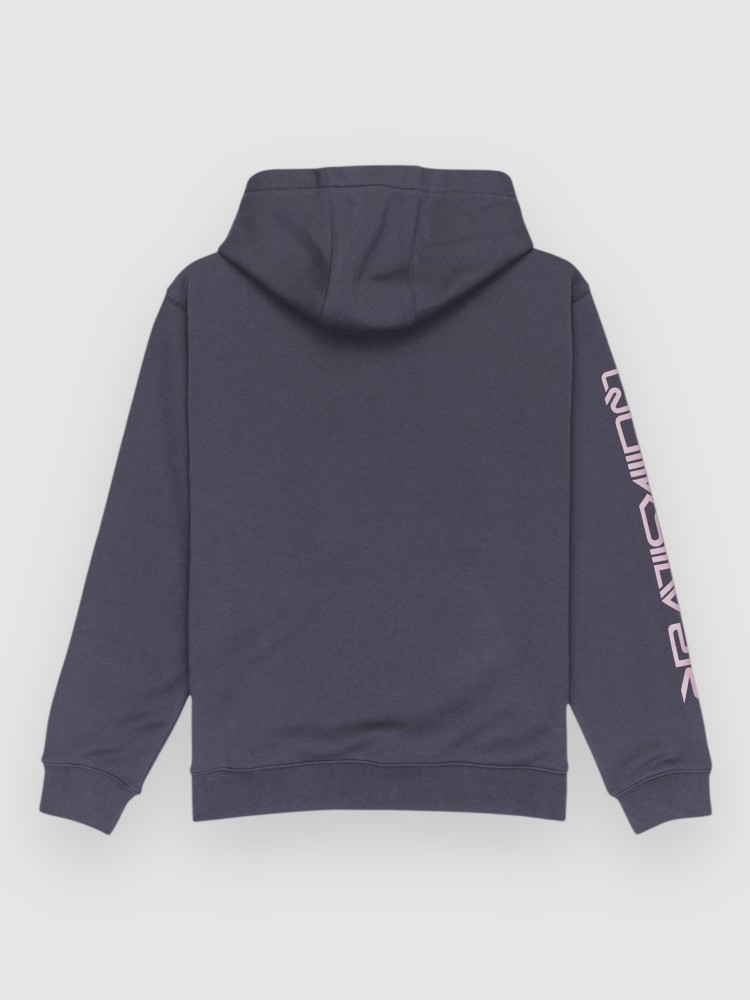 Толстовка Quiksilver Omni Logo Kids Hoodie, india ink — фото 2