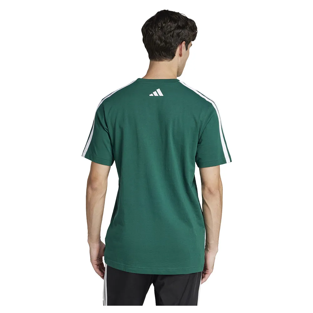 Футболка с коротким рукавом adidas Codes Collegiate Linear Graphic, зеленый — фото 2