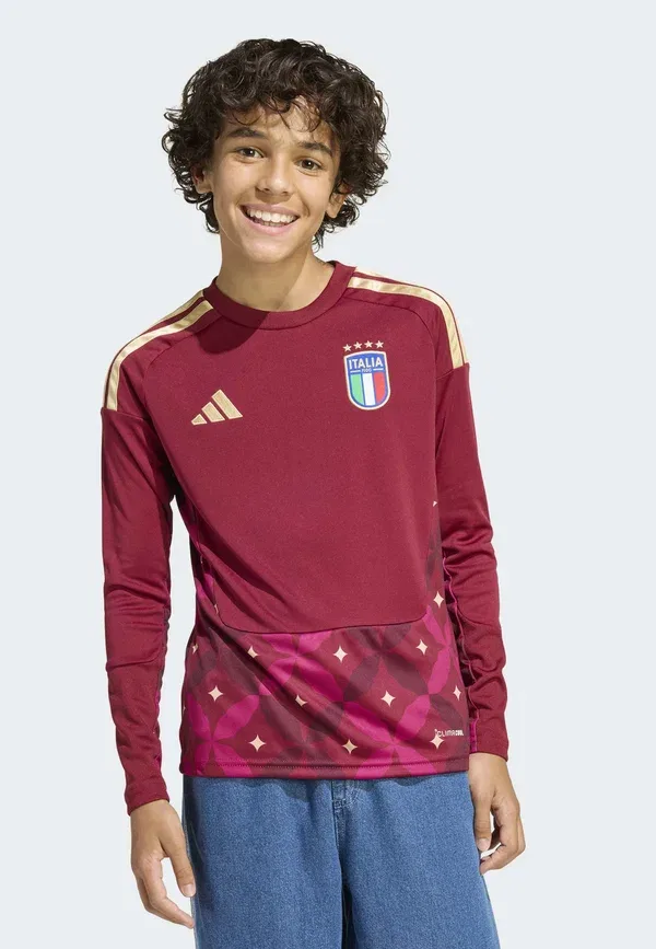Футболка вратарская Adidas Performance Italy 26 home long sleeve, бордовая