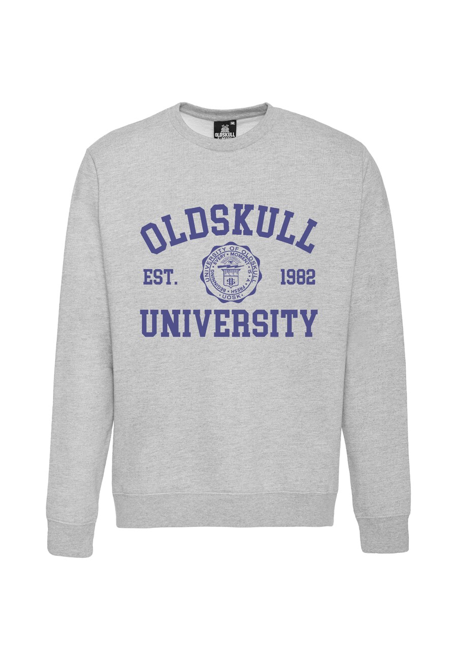 

Толстовка Oldskull Retro University, серый