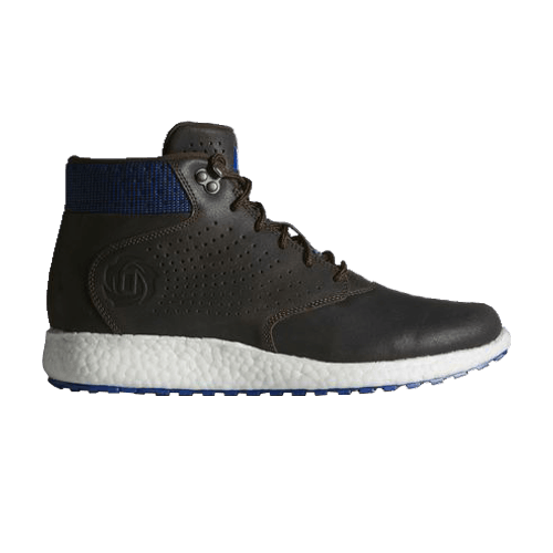 

Кроссовки D Rose Lakeshore Boost, коричневый
