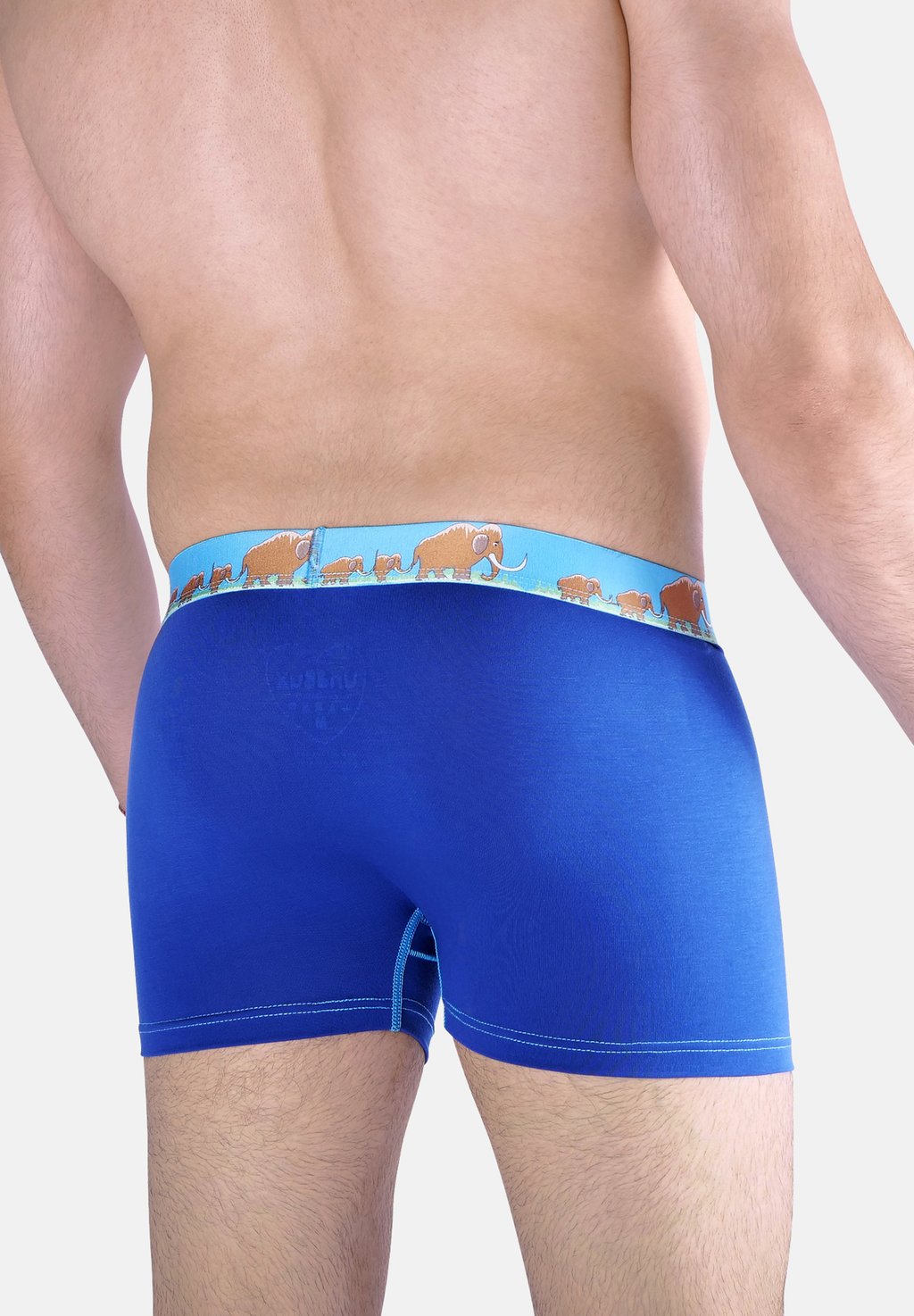 

Трусы 2-PACK MAMOUTH HIKE MIX Unabux, бирюзовый