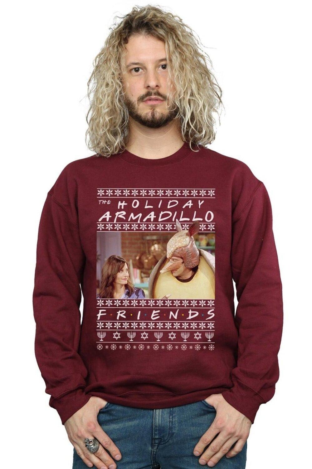 

Толстовка Fair Isle Holiday Armadillo Friends, красный