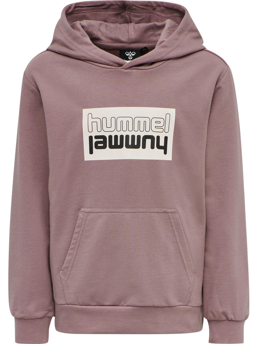 

Толстовка Hmlduo Kids HUMMEL