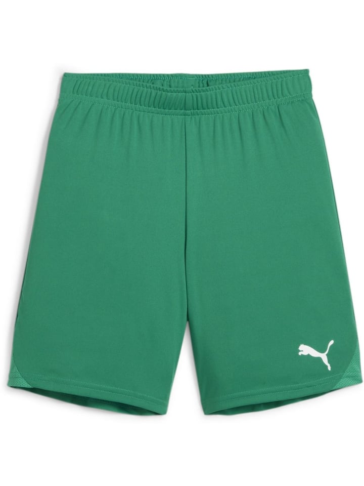 

Спортивные шорты TeamGoal Shorts Jr зеленого цвета Puma