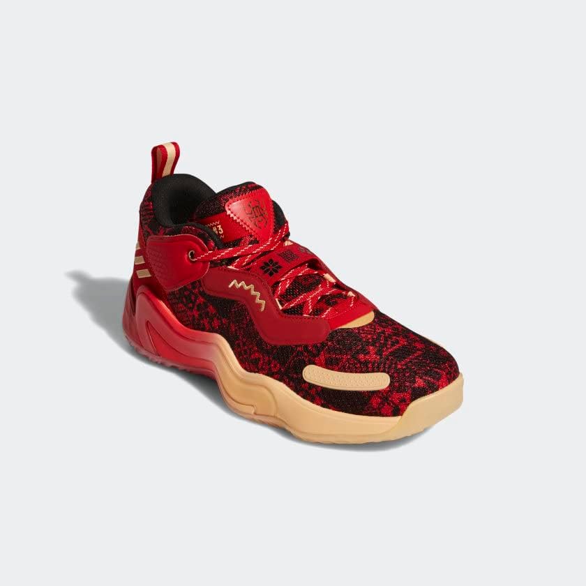 Мужские походные кроссовки adidas Terrex Skychaser Lt Gtx, черный/алый — фото 4