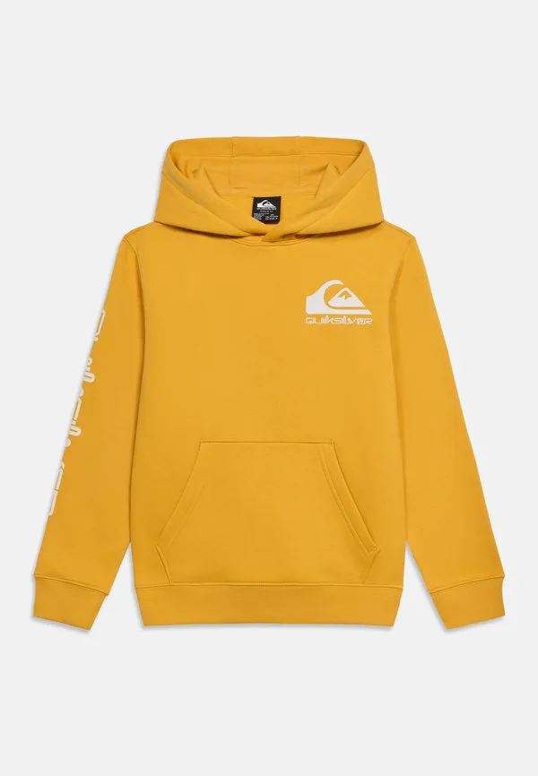 Худи унисекс с логотипом omni для подростков Quiksilver, Mineral Yellow — фото 3