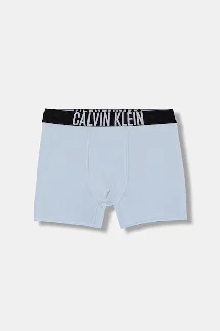Боксеры хлопковые с эластаном 2 шт Calvin Klein Underwear, синий — фото 2