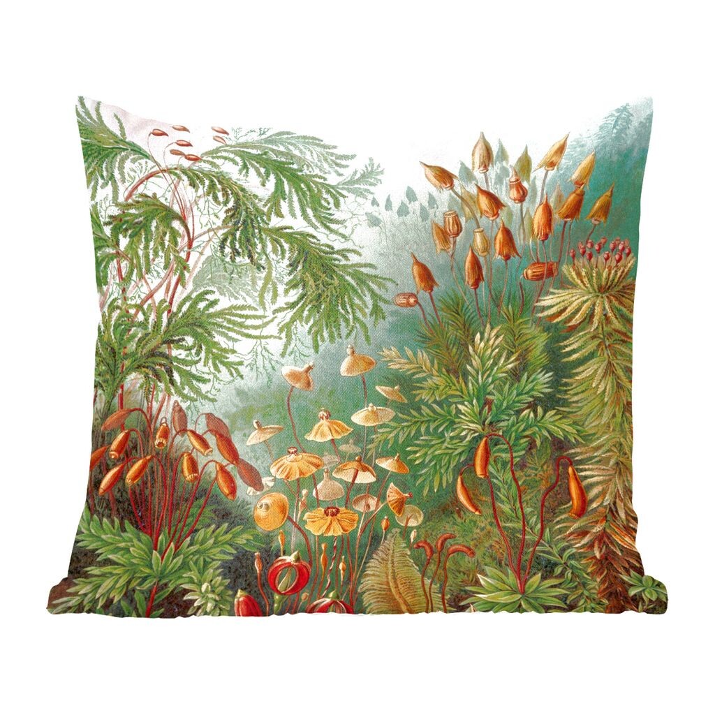 

Декоративная подушка MuchoWow, подушка для дивана, декоративная подушка для гостиной, 60 x 60 см, Muscinae - Ernst Haeckel - растения - чехол для подушки - хлопковая ткань - декоративные чехлы для подушек