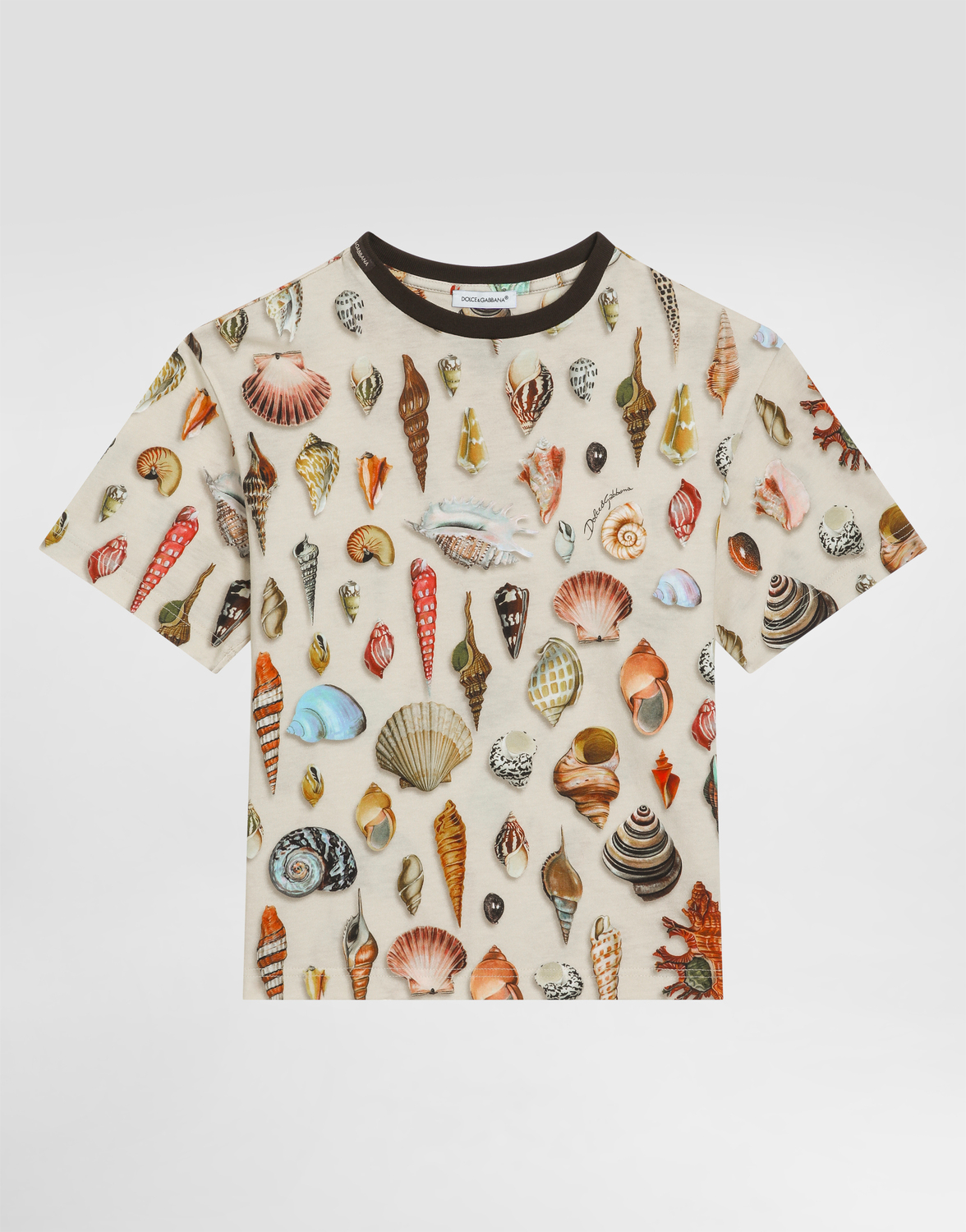 

Джерси-футболка с короткими рукавами и принтом ракушек Dolce&Gabbana, мультиколор