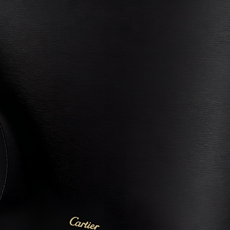 Сумка Cartier Small Panthère C, черный — фото 4