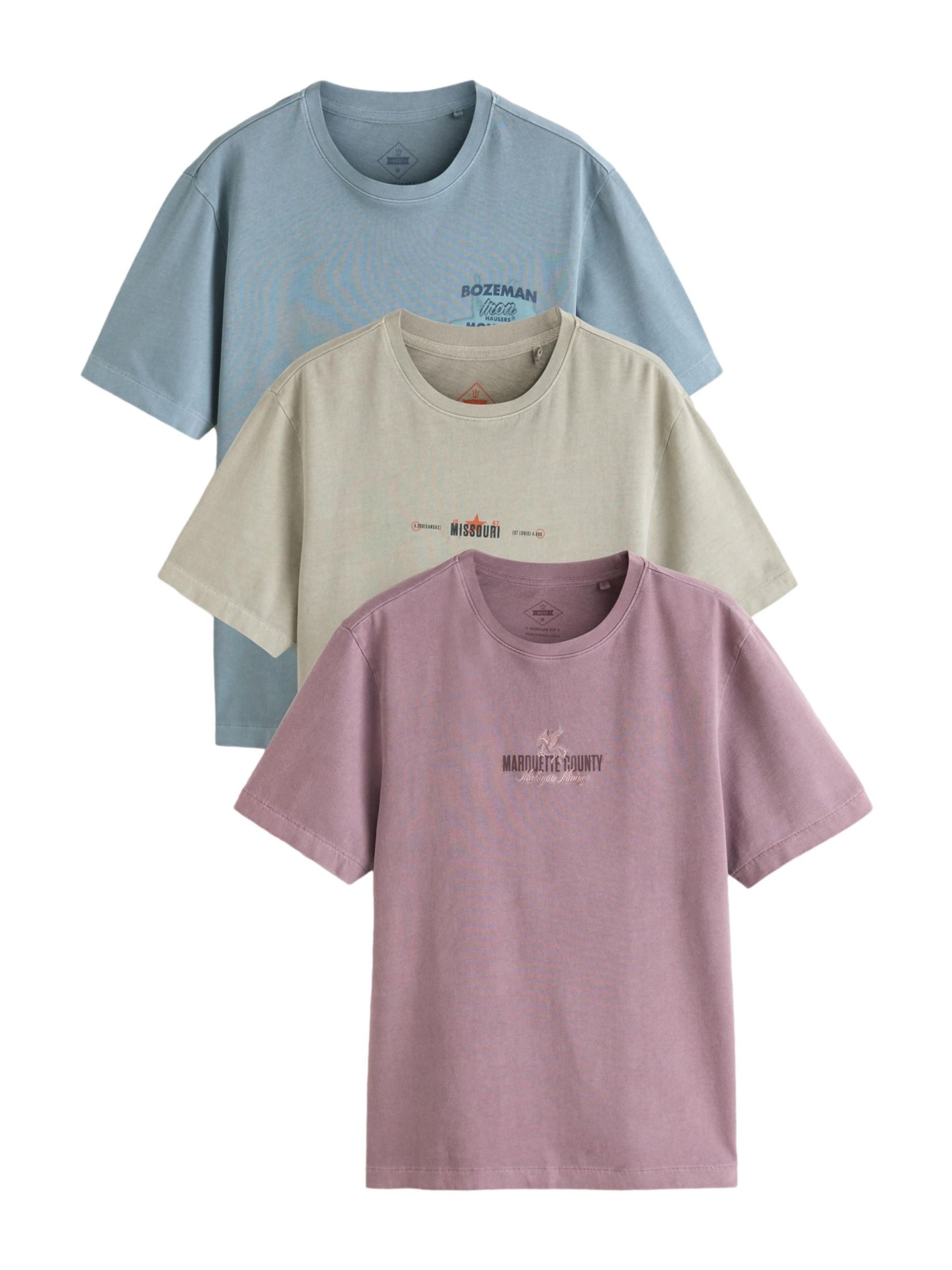 Next Футболка в цветах Dusty Blue, Pastel Green, Dusky Pink
