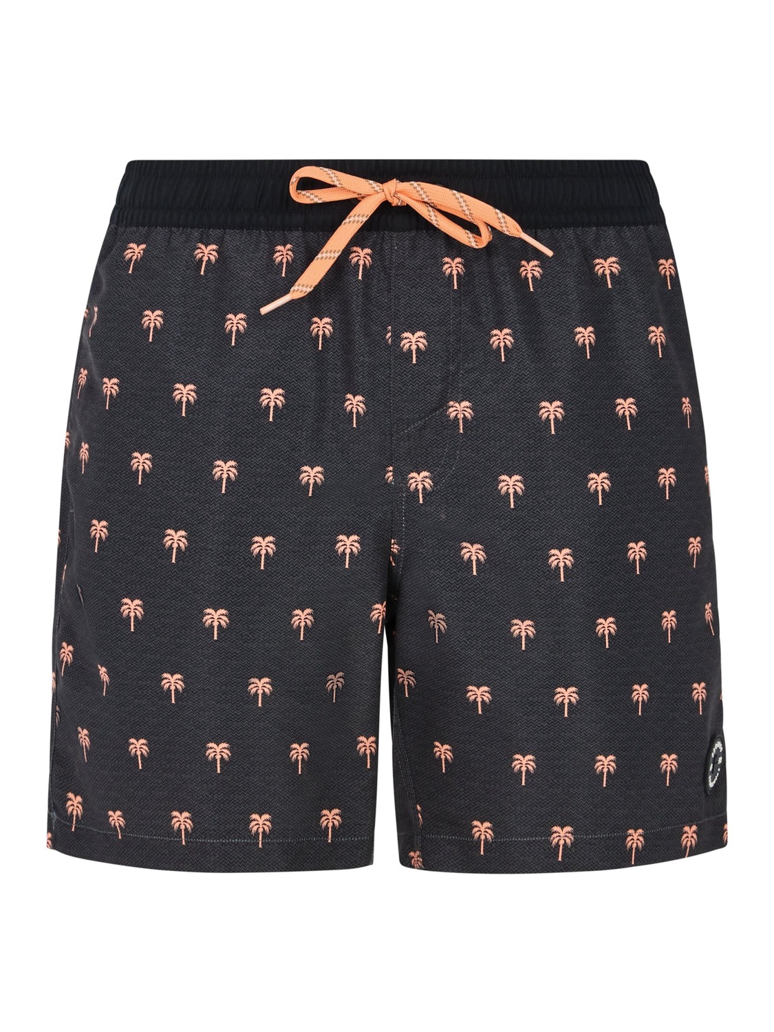 

PROTEST Шорты для серфинга 'PRTParco' в сером цвете