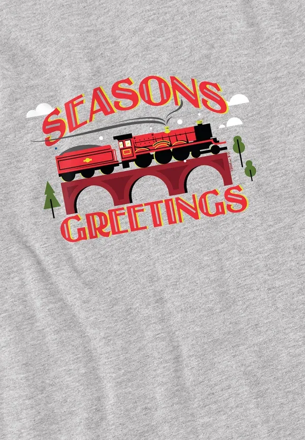 Футболка Harry Potter Seasons Greetings Christmas Hogwarts Express Print Cotton Soul, крапчатый светло-серый — фото 3