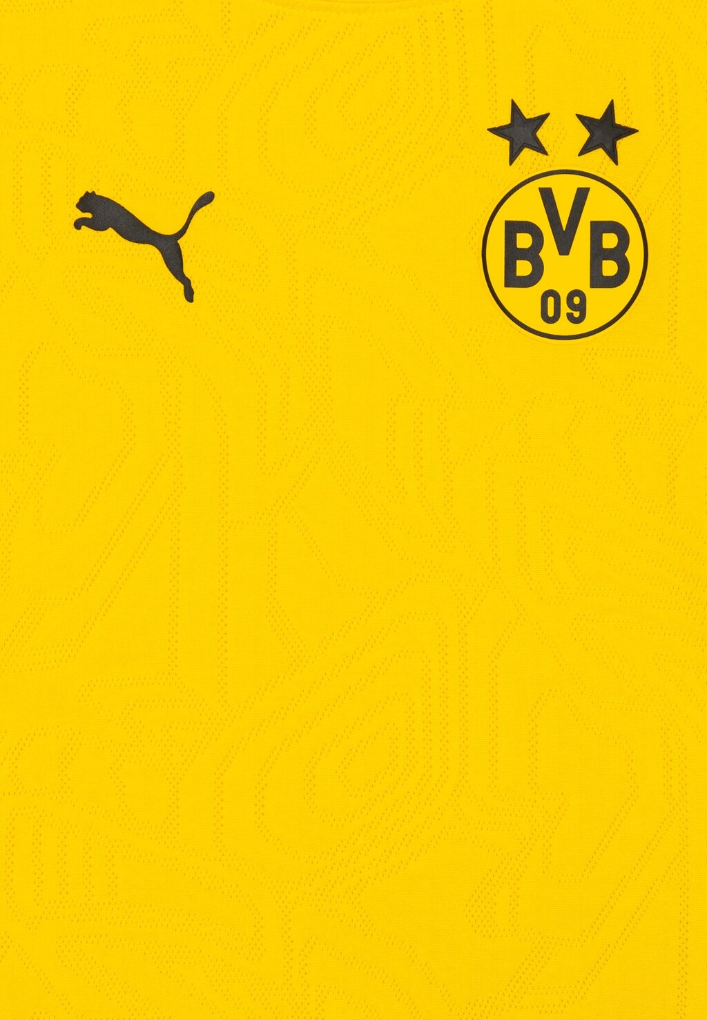 

Спортивная футболка BVB BORUSSIA DORTMUND TRAINING JR UNISEX Puma, желтый