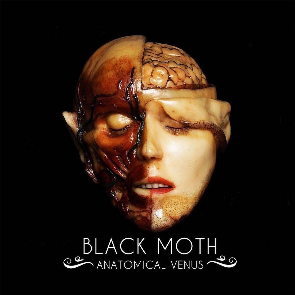 

Виниловая пластинка LP Anatomical Venus - Black Moth