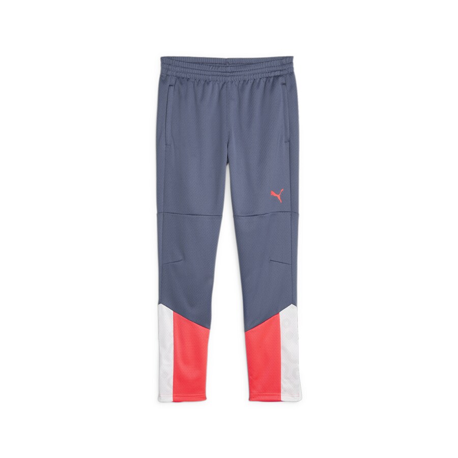 Облегающие спортивные брюки PUMA individualCUP, синий