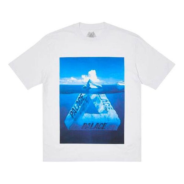 

Футболка berg-ferg t-shirt 'grey' Palace, серый