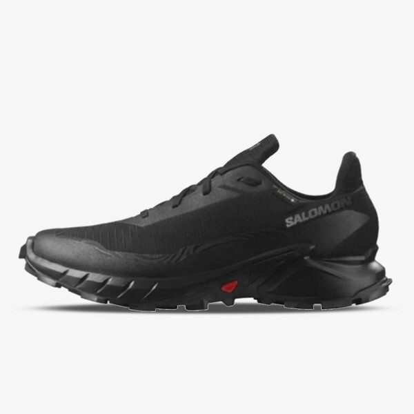 

Кроссовки Alphacross 5 GTX Salomon, черный